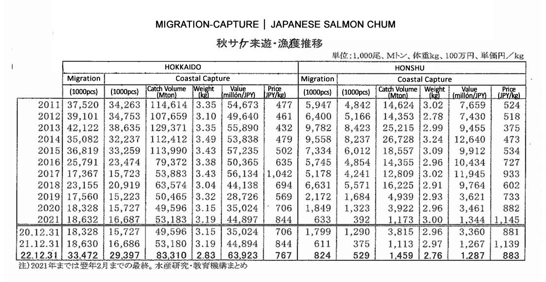 Migracion-Captura de chum salmon de Japon FIS seafood_media.jpg
